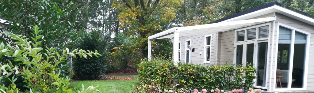 Chalet Boterbloem 604a